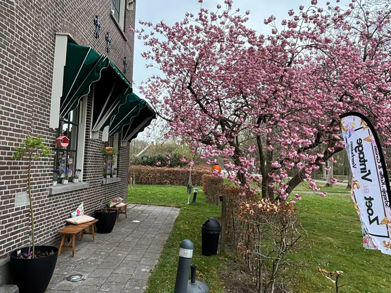Zoet en Vintage - Veenhuizen