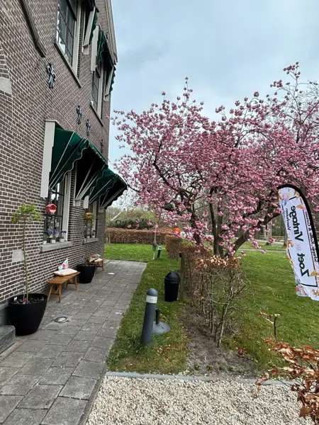 Zoet en Vintage - Veenhuizen (2/3)